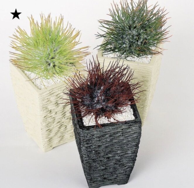 光触媒 人工観葉植物 ウォールグリーン アザミサボテンスイング