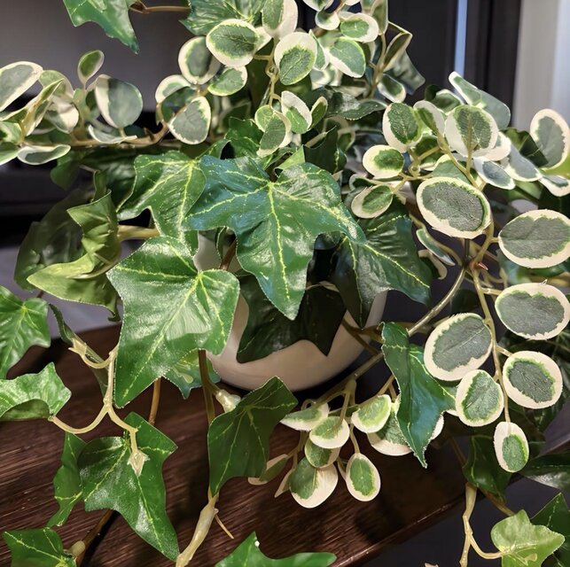 光触媒 人工観葉植物 ウォールグリーンフェイクグリーン アイビーと