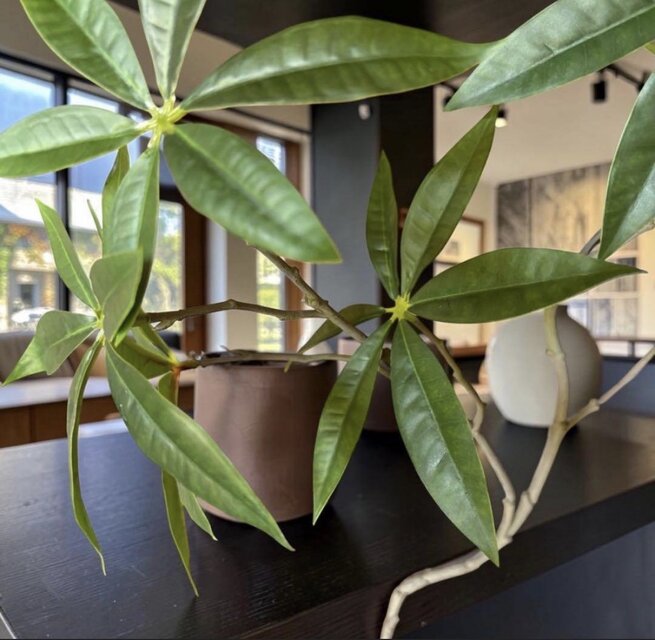 光触媒　人工観葉植物　ウォールグリーン　フェイクグリーン　斑入りパキラ175 光触媒 人工観葉植物 ウォールグリーン フェイクグリーン パキラ下枝