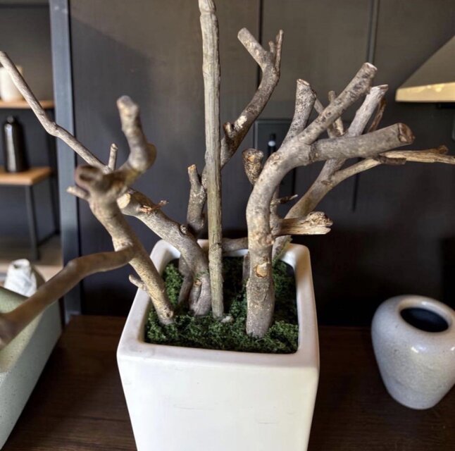 光触媒 人工観葉植物 ウォールグリーン フェイクグリーン パキラ下枝