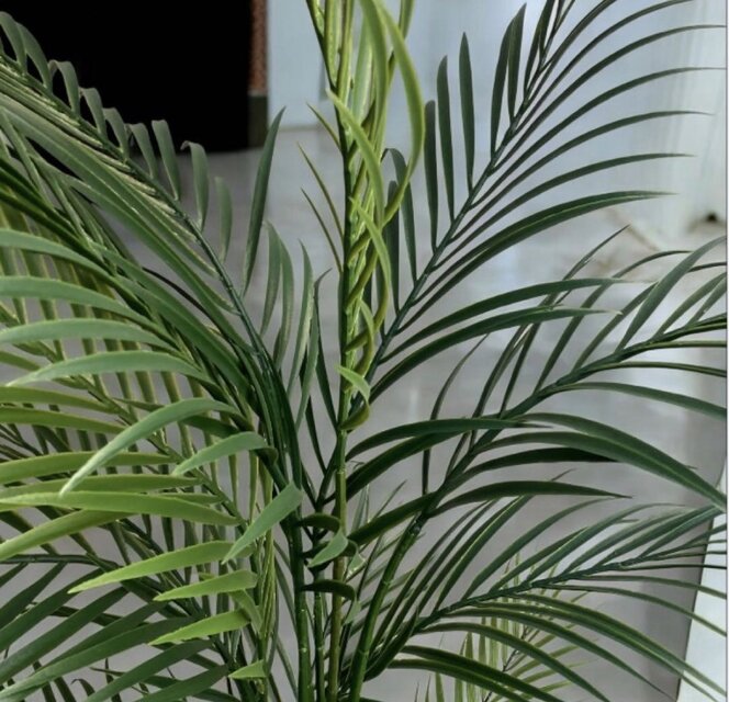 光触媒 人工観葉植物 ウォールグリーン フェイクグリーン アレカヤシ