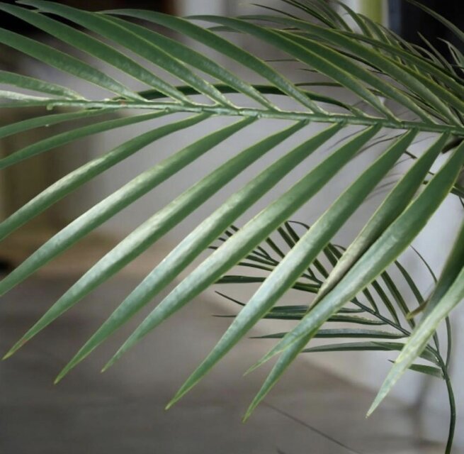 光触媒 人工観葉植物 ウォールグリーン フェイクグリーン アレカヤシ