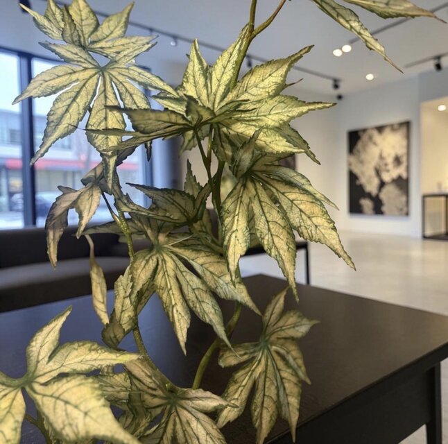 光触媒 人工観葉植物 ウォールグリーン フェイクグリーン ケナフ