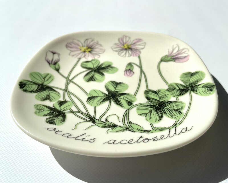 ARABIA ボタニカ　コミヤマカタバミ ARABIA エステリトムラ Botanica Oxalis acetosella コミヤマカタバミ