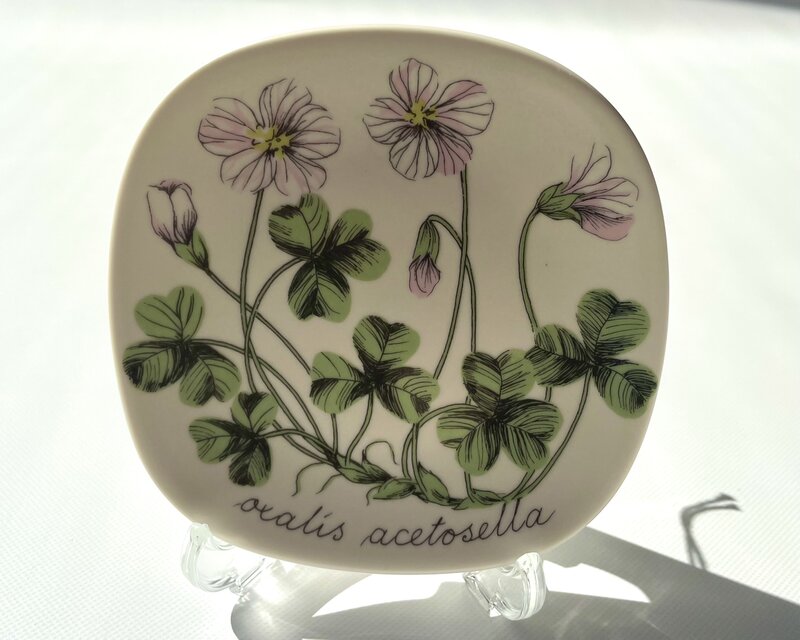 ARABIA エステリトムラ Botanica Oxalis acetosella コミヤマカタバミ ARABIA エステリトムラ Botanica Oxalis acetosella コミヤマカタバミ