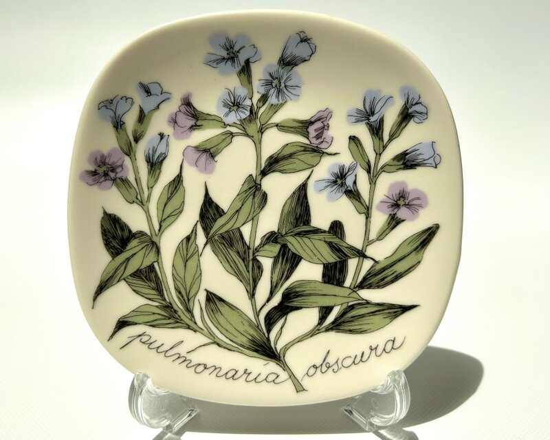 ARABIA エステリトムラ Botanica pulmonaria obscura プルモナリア