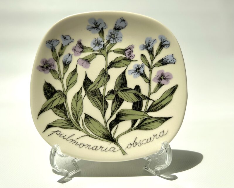 インテリア小物 ARABIA エステリトムラ Botanica クロマメノキ