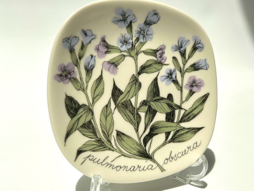 ARABIA エステリトムラ Botanica pulmonaria obscura プルモナリア