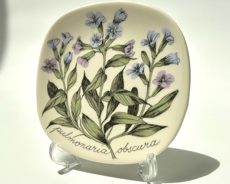 ARABIA エステリトムラ Botanica pulmonaria obscura プルモナリア