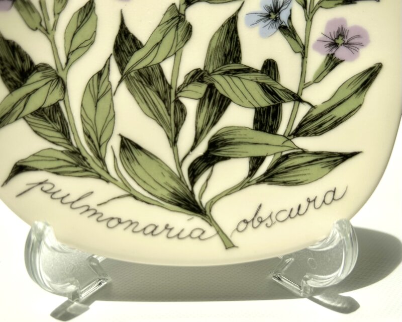 ARABIA エステリトムラ Botanica pulmonaria obscura プルモナリア