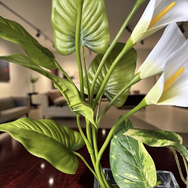 光触媒 人工観葉植物 ウォールグリーン フェイクグリーン マジカル