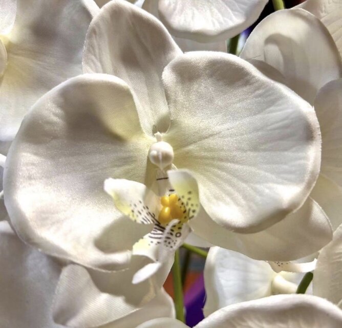 光触媒 人工観葉植物 ウォールグリーン フェイクグリーン お供え花