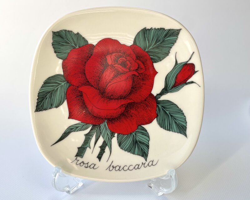 ARABIA エステリトムラ Botanica Rosa Baccara 赤バラ ARABIA エステリトムラ Botanica Rosa Baccara 赤いバラ | iichi 日々