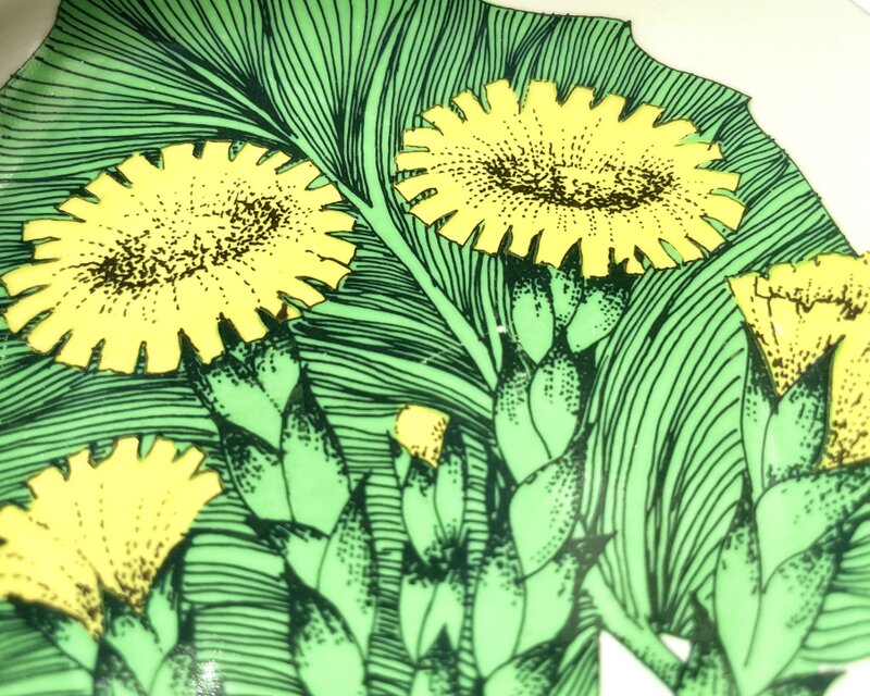 ARABIA エステリトムラ Botanica Tussilago farfara フキタンポポ