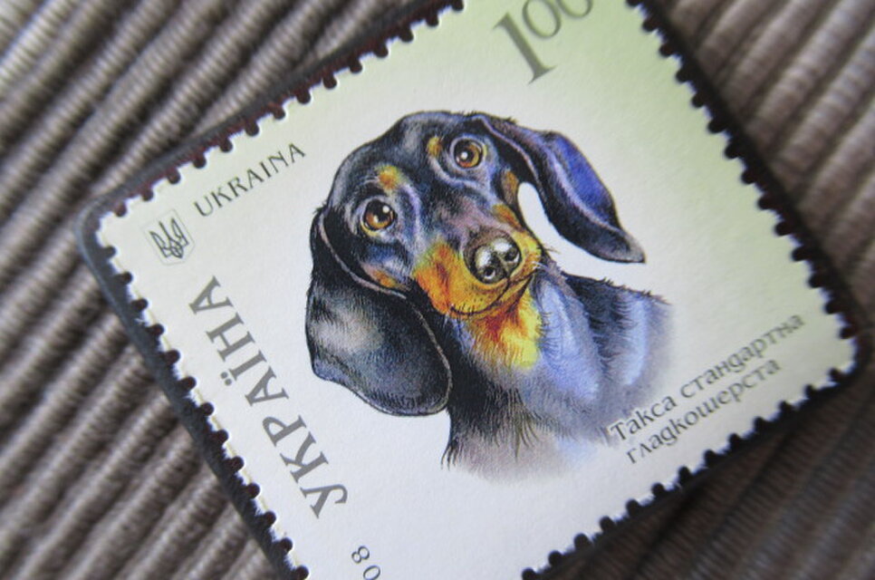 ウクライナ2008年 犬切手ブローチ 11128 | iichi 日々の暮らしを