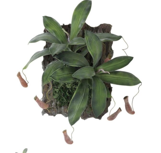 光触媒　人工観葉植物　ウォールグリーン　フェイクグリーン　壁掛けウツボカブラ 光触媒 人工観葉植物 ウォールグリーン フェイクグリーン 壁掛け