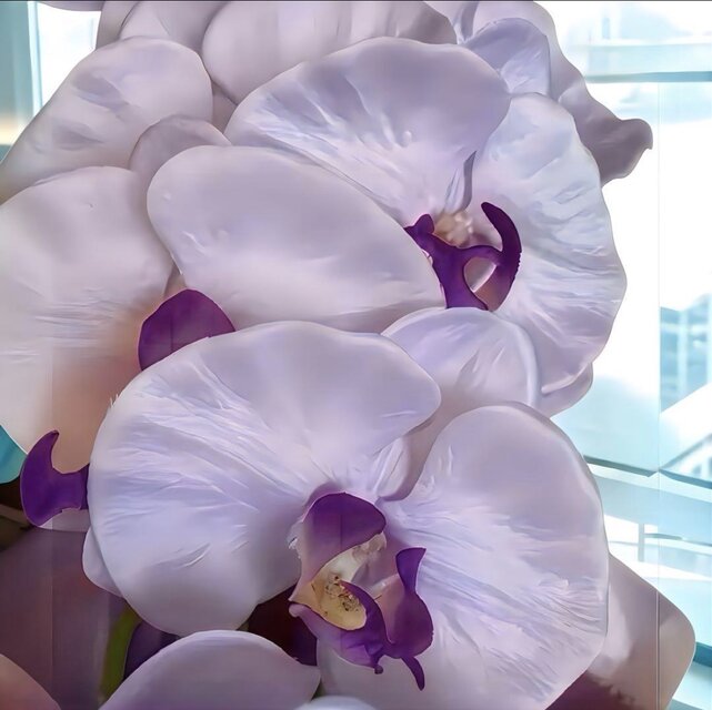 光触媒 人工観葉植物 ウォールグリーン フェイクグリーン 胡蝶蘭7845仏
