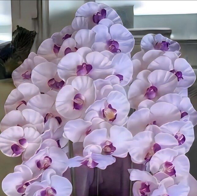 光触媒　人工観葉植物　ウォールグリーン　フェイクグリーン　胡蝶蘭7845仏 光触媒 人工観葉植物 ウォールグリーン フェイクグリーン 胡蝶蘭7845仏