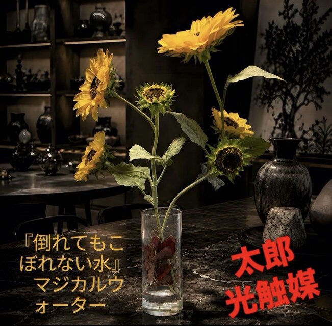 光触媒 人工観葉植物 ウォールグリーン フェイクグリーン マジカル