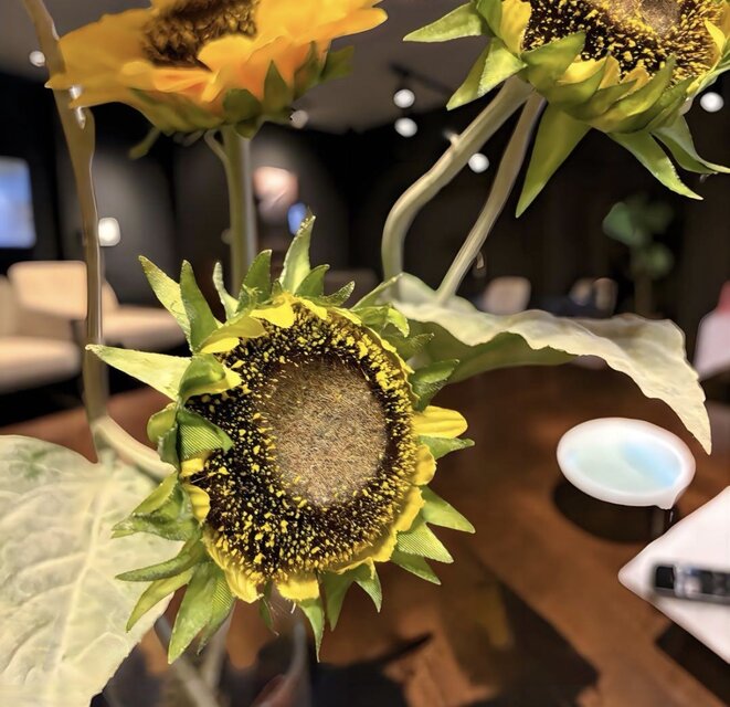 光触媒 人工観葉植物 ウォールグリーン フェイクグリーン マジカル