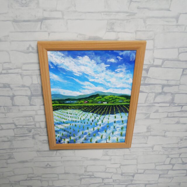 油彩画 原画】初夏の水鏡 〜きらめく青空と水田〜 A4絵画 田舎の風景