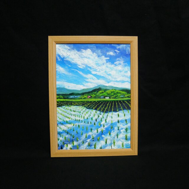 田園風景の水鏡／原画 油彩画 原画】初夏の水鏡 〜きらめく青空と水田〜 A4絵画 田舎の風景
