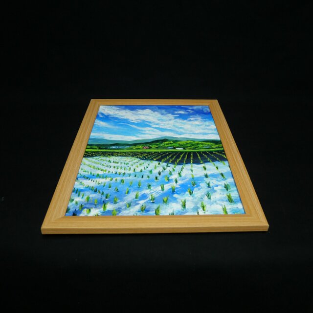 油彩画 原画】初夏の水鏡 〜きらめく青空と水田〜 A4絵画 田舎の風景