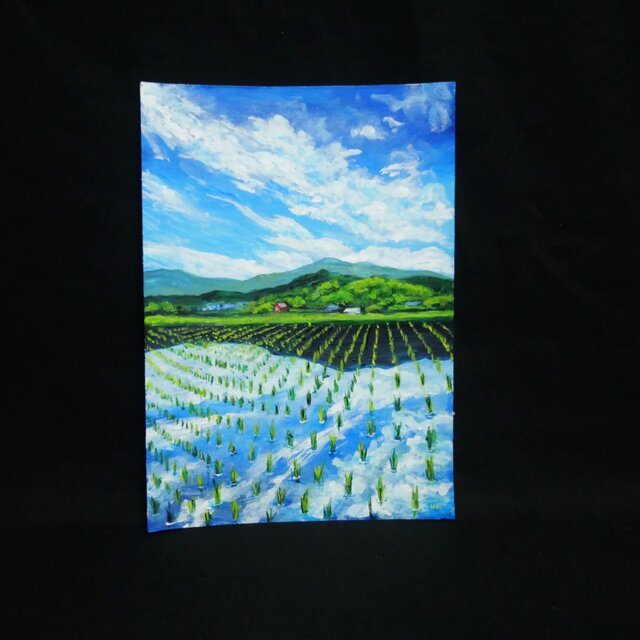 油彩画 原画】初夏の水鏡 〜きらめく青空と水田〜 A4絵画 田舎の風景