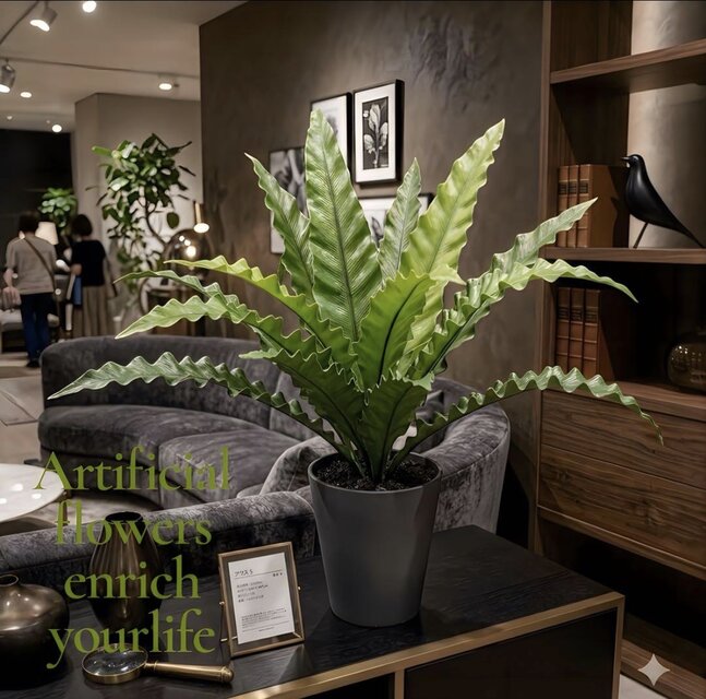 光触媒 人工観葉植物 ウォールグリーン フェイクグリーン アスプ