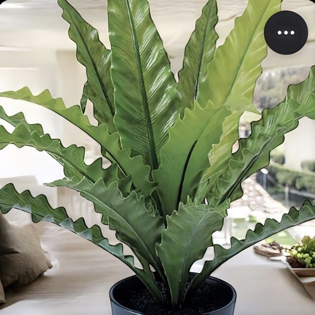 光触媒 人工観葉植物 ウォールグリーン フェイクグリーン アスプ