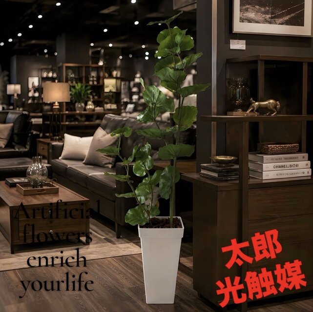 光触媒 人工観葉植物 ウォールグリーン フェイクグリーン シーグレープ