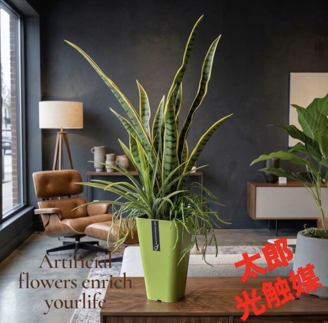 光触媒　人工観葉植物　ウォールグリーン　フェイクグリーン　シェフレラアレンジＲ 光触媒 人工観葉植物 ウォールグリーン フェイクグリーン シェフレラ