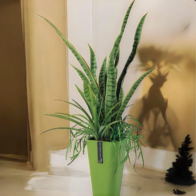 光触媒 人工観葉植物 ウォールグリーン フェイクグリーン サンスベリア