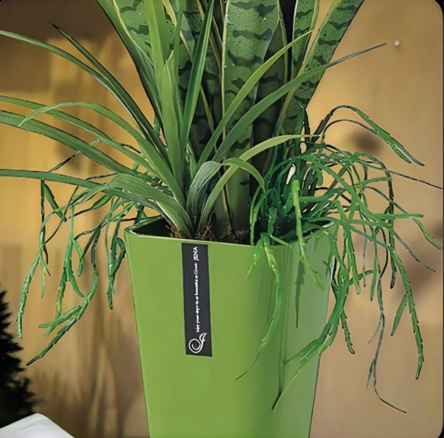 光触媒　人工観葉植物　ウォールグリーン　フェイクグリーン　サンスベリアアレンジ@ 光触媒 人工観葉植物 ウォールグリーン フェイクグリーン サンスベリア