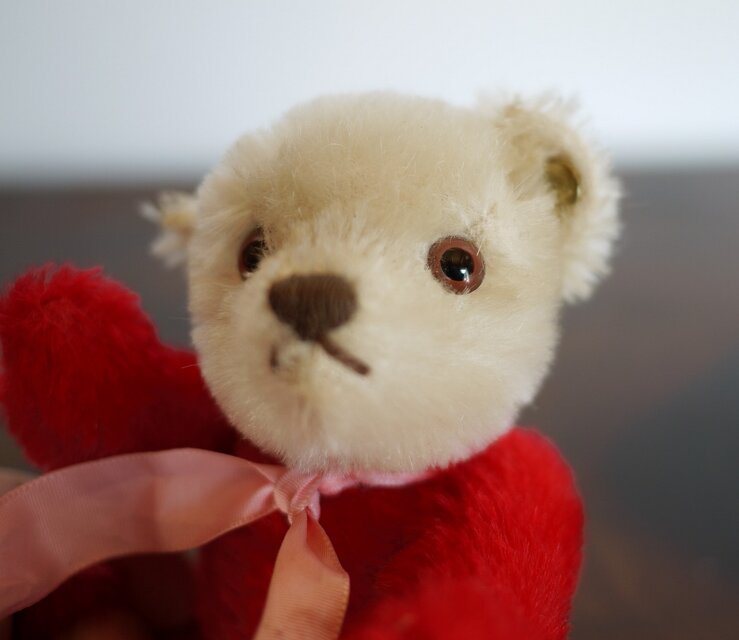 シュタイフ Steiff テディベア Dolly Teddy | iichi 日々の暮らしを