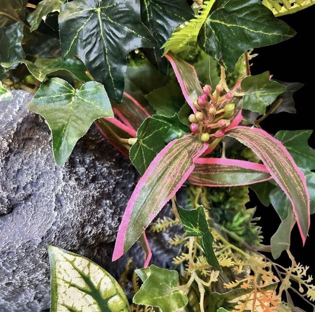 光触媒　人工観葉植物　ウォールグリーン　フェイクグリーン　壁掛けクリスティピンク 光触媒 人工観葉植物 ウォールグリーン フェイクグリーン 壁掛け