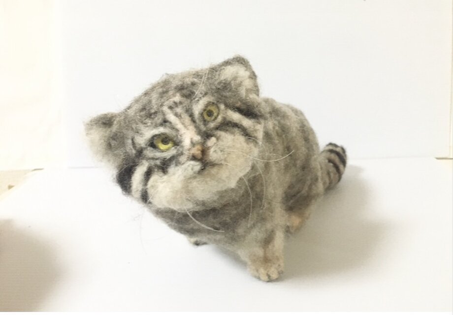 一点もの】羊毛フェルト マヌルネコ 見上げる仔猫 | iichi 日々の