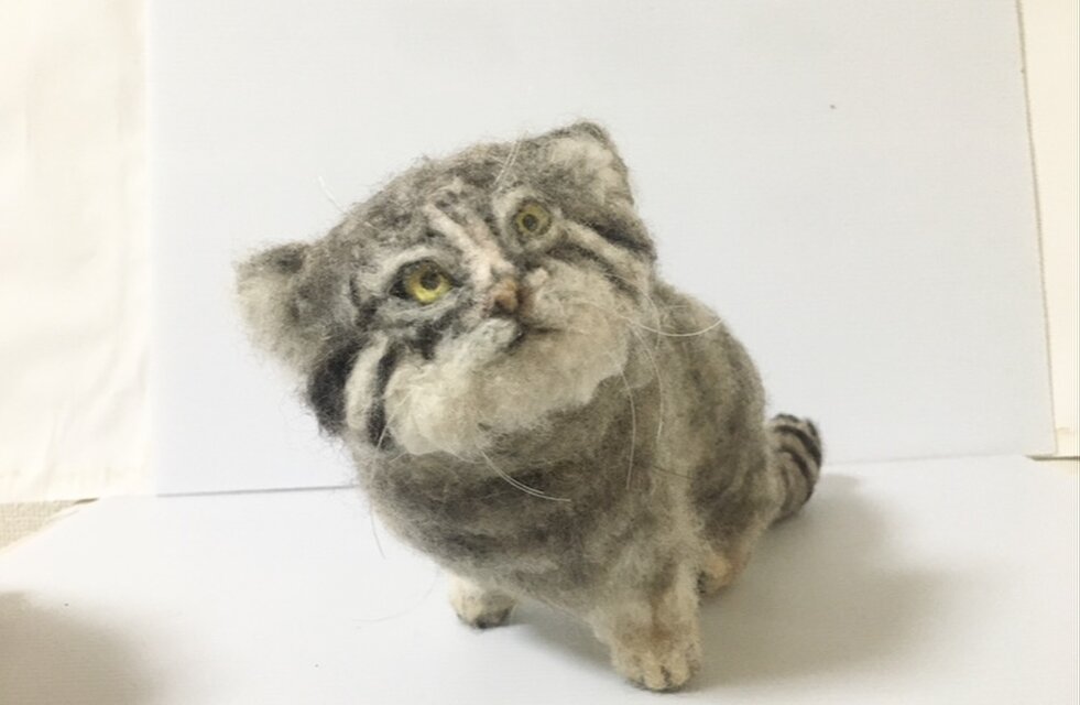 羊毛フェルト　マヌルネコ 一点もの】羊毛フェルト マヌルネコ 見上げる仔猫 | iichi 日々の
