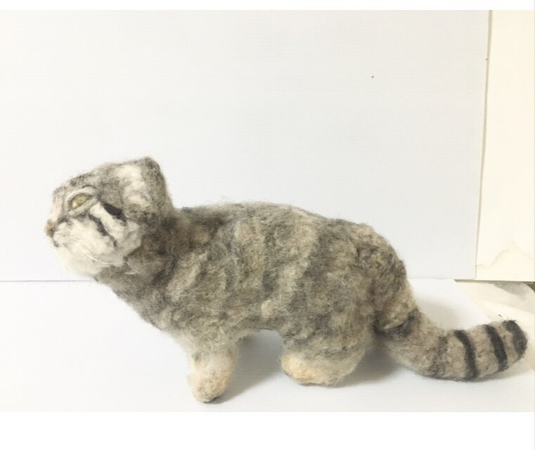 一点もの】羊毛フェルト マヌルネコ 見上げる仔猫 | iichi 日々の