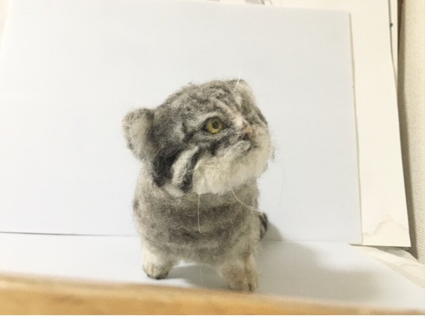 一点もの】羊毛フェルト マヌルネコ 見上げる仔猫 | iichi 日々の