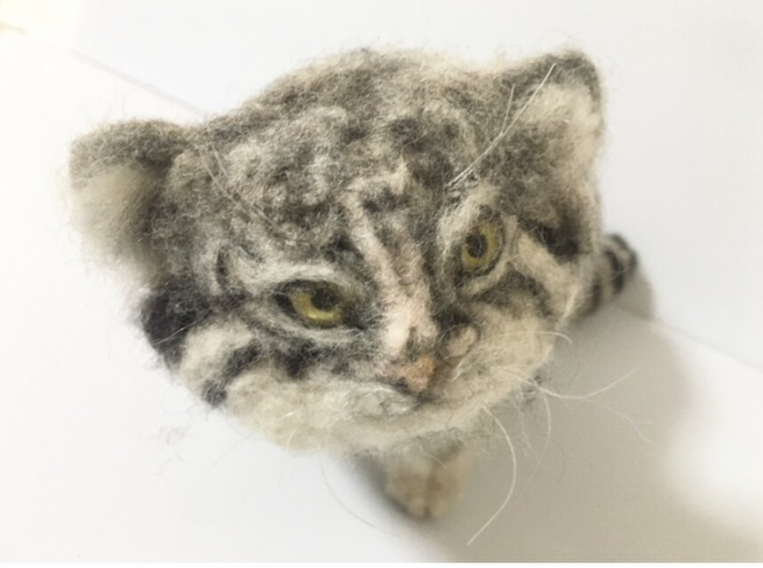 オーダーメイド⭐︎【一点もの】羊毛フェルト マヌルネコ 見上げる仔猫