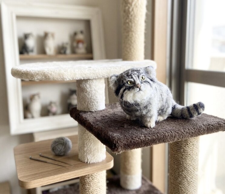 オーダーメイド⭐︎【一点もの】羊毛フェルト マヌルネコ 見上げる仔猫