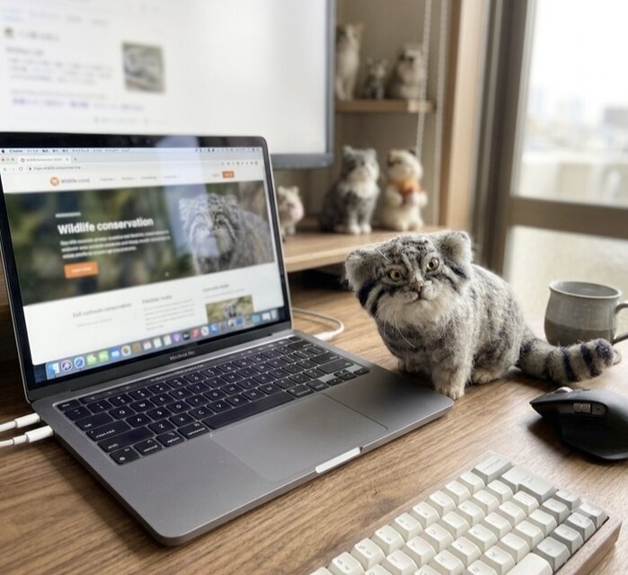 オーダーメイド⭐︎【一点もの】羊毛フェルト マヌルネコ 見上げる仔猫