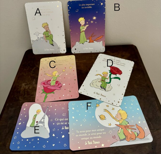 France postcard ポストカード 同柄2枚set | iichi 日々の暮らしを