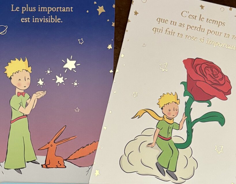 France postcard ポストカード 同柄2枚set | iichi 日々の暮らしを