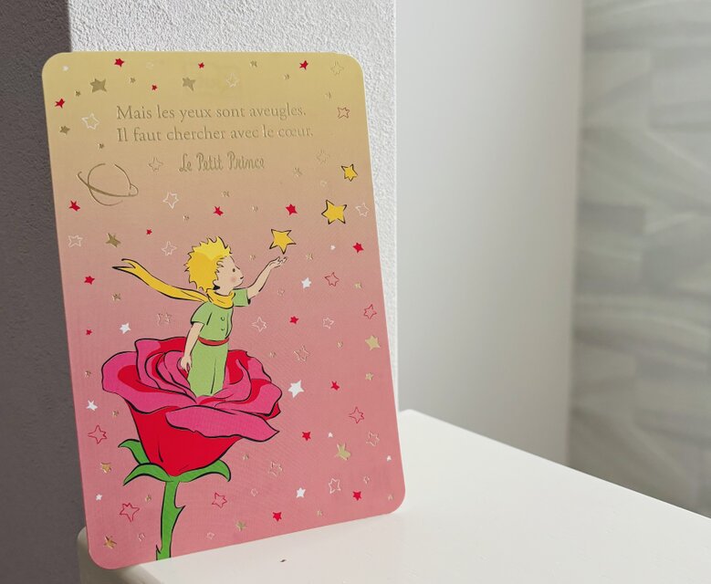France postcard ポストカード 同柄2枚set | iichi 日々の暮らしを