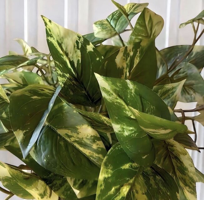 光触媒 人工観葉植物 ウォールグリーン フェイクグリーン ポトス3555