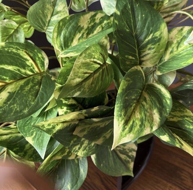 光触媒 人工観葉植物 ウォールグリーン フェイクグリーン ポトス3555