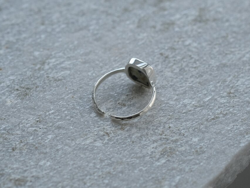 Dalmatian Jasper ring ダルメシアンジャスパー シルバーリング