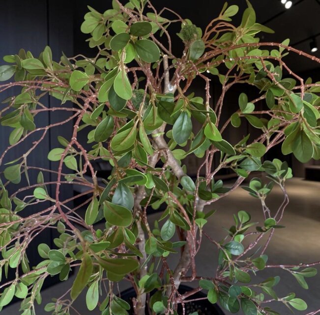 光触媒 人工観葉植物 ウォールグリーン フェイクグリーン ドウダン